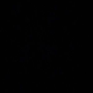 Shein silver tank top